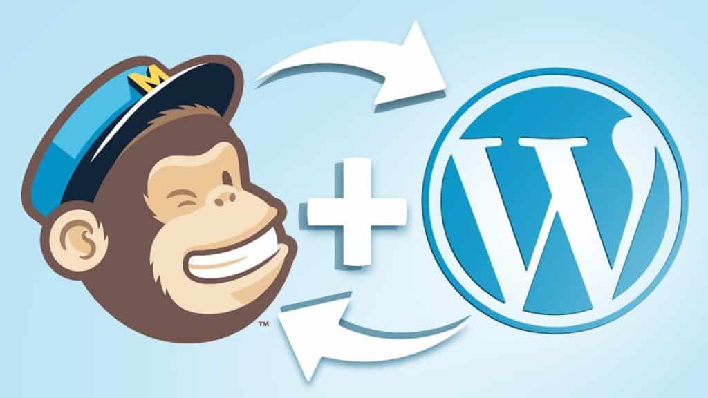 TOP 5 FREE WORDPRESS PLUGINS FOR YOUR BUSINESS