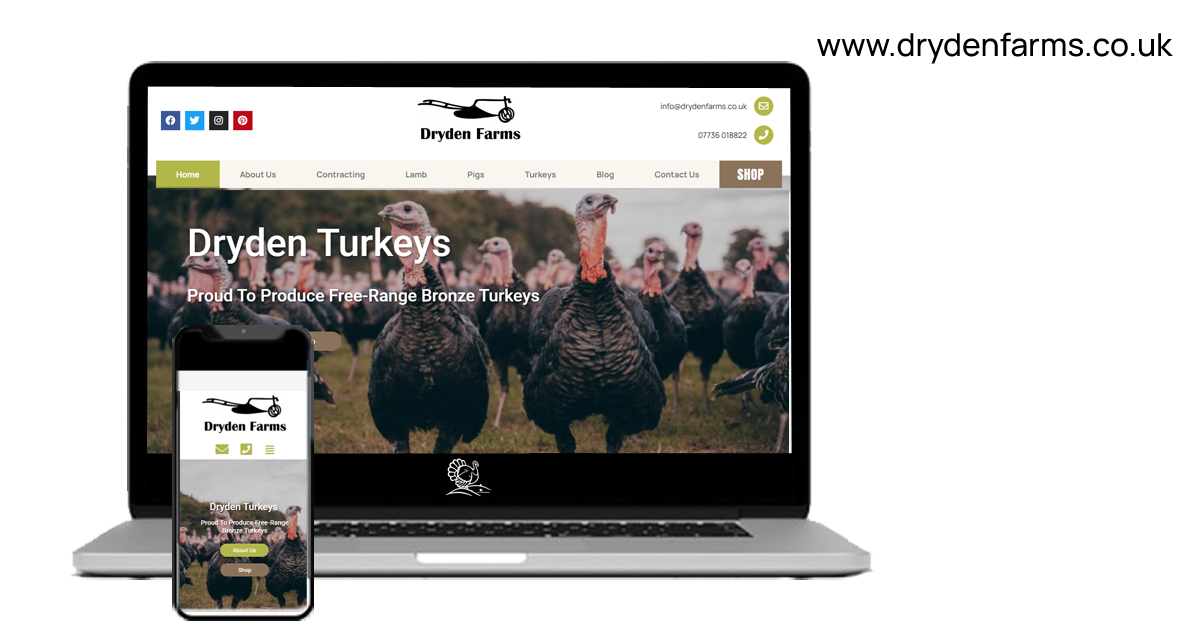 Finsbury Media 31